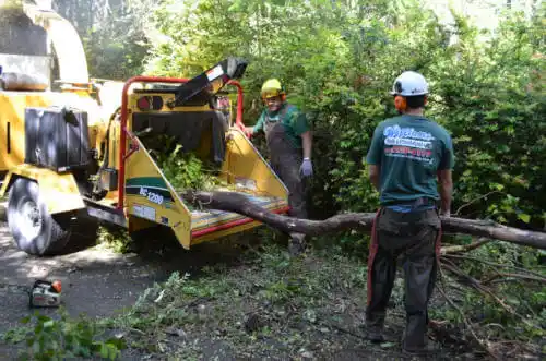 tree services Diamond Bar